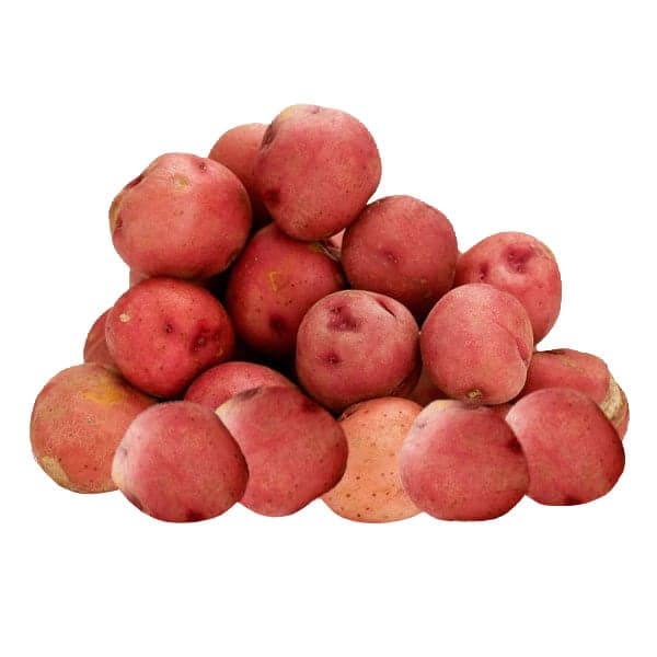 Giant Red Potatoes