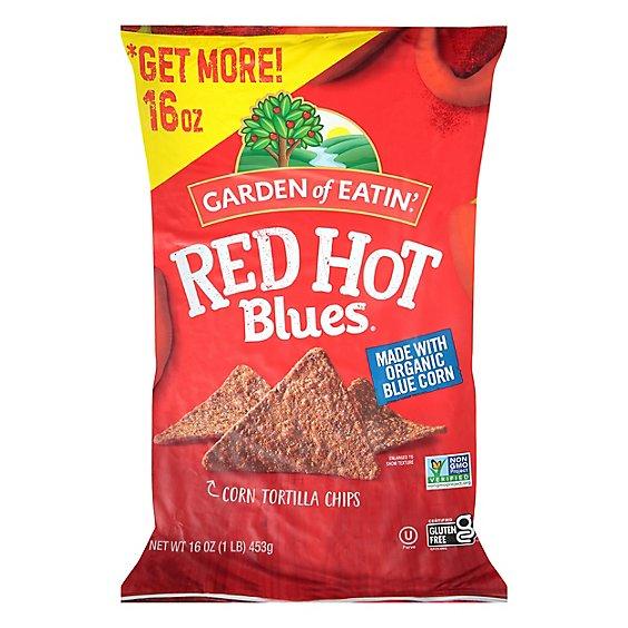 Is it MSG Free? Garden Of Eatin' Red Hot Blues Tortilla Chips