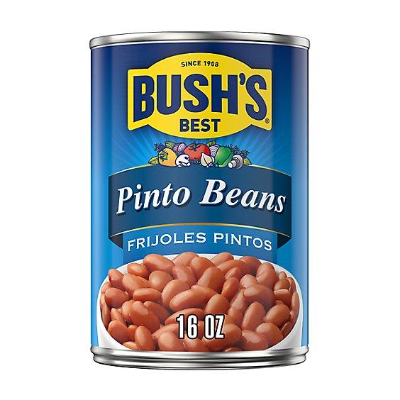 Is it Egg Free? Bush's Best Pinto Beans