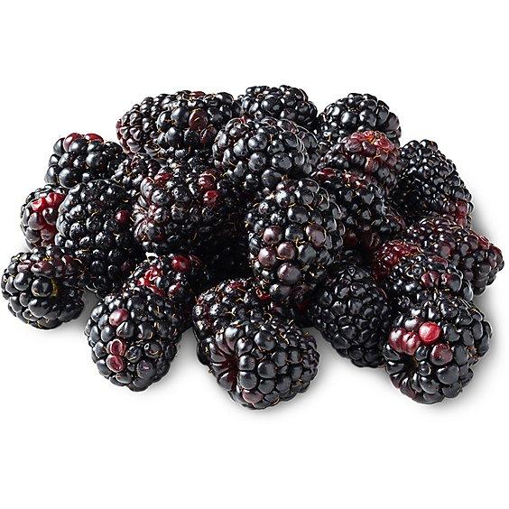 Is it Pregnancy Friendly? Driscoll's Blackberries