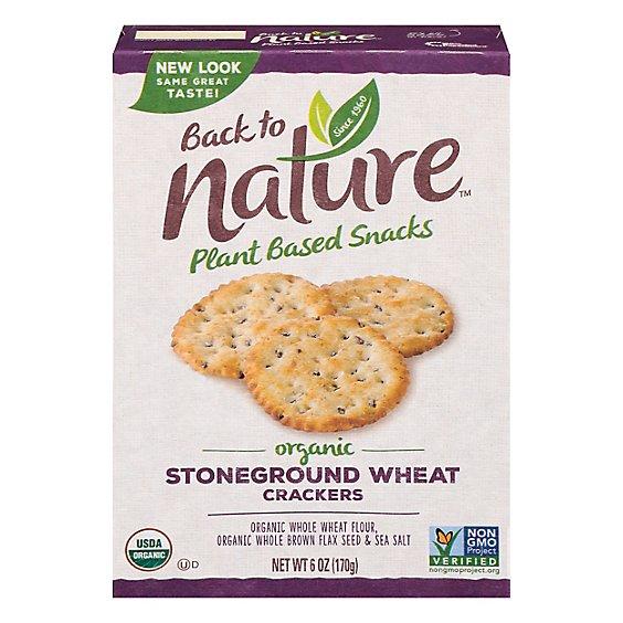 Is it Pregnancy Friendly? Back To Nature Organic Stoneground Wheat Cracker