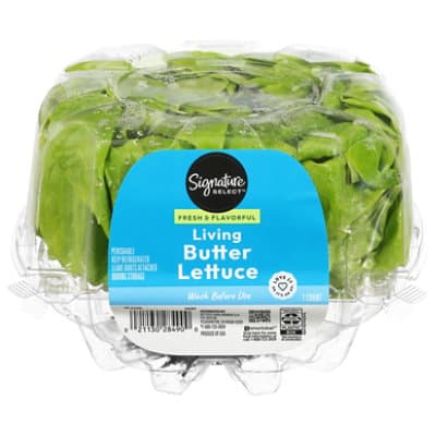 Signature Select/Farms Living Butter Lettuce