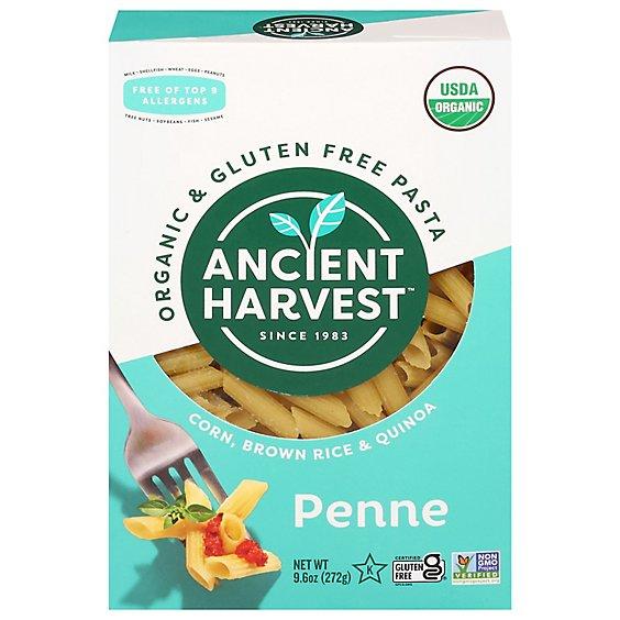 Is it Low FODMAP? Ancient Harvest Organic & Gluten Free Pasta Penne