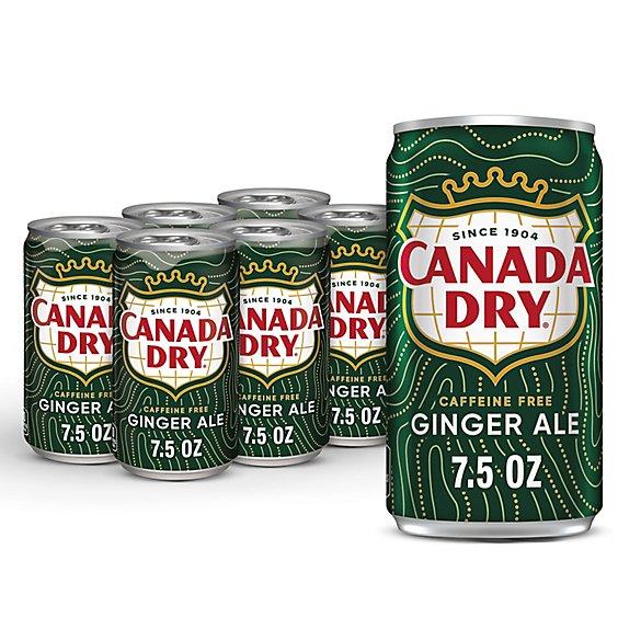 Canada Dry Ginger Ale Slim