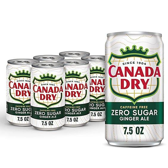 Is it Walnut Free? Canada Dry Soda Zero Sugar Ginger Ale In Cans