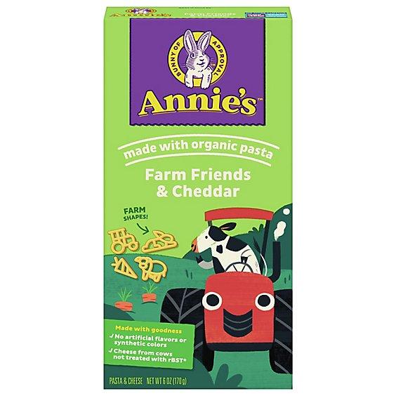 Is it Low Histamine? Annies Homegrown Bernies Farm Macaroni & Cheese