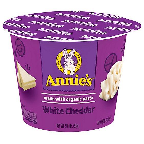 Is it MSG Free? Annie's Homegrown White Cheddar Macaroni & Cheese Made With Organic Pasta