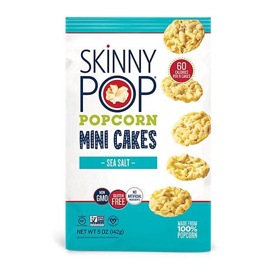 Is it Milk Free? Skinnypop Sea Salt Popcorn Mini Cakes