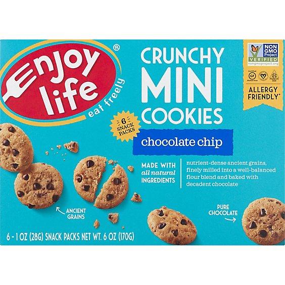 Is it Pregnancy Friendly? Enjoy Life Cookies Chocolate Chip Crunchy Minis