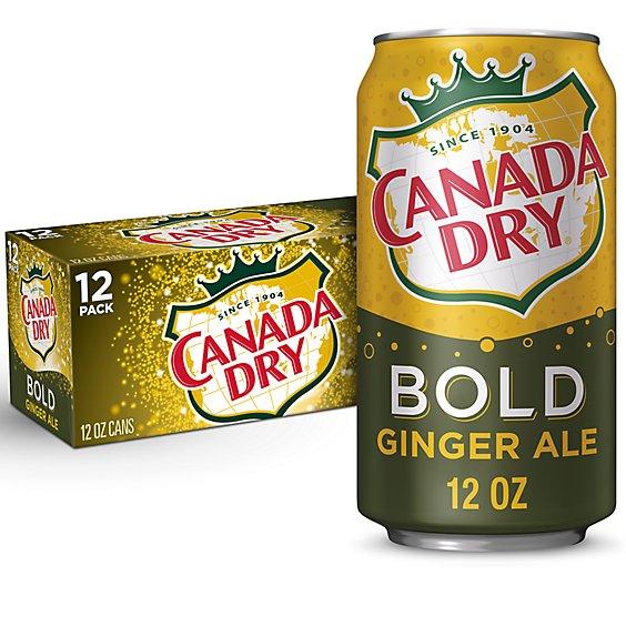 Is it Paleo? Canada Dry Bold Ginger Ale Soda