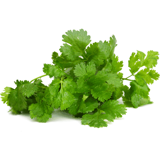 Chopped Cilantro