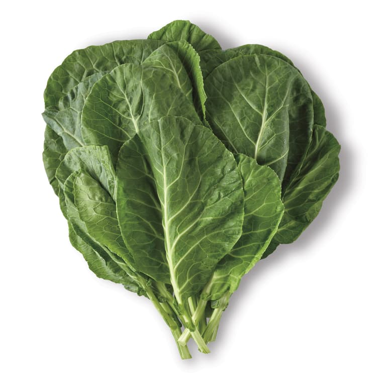 Collard Green Bunch