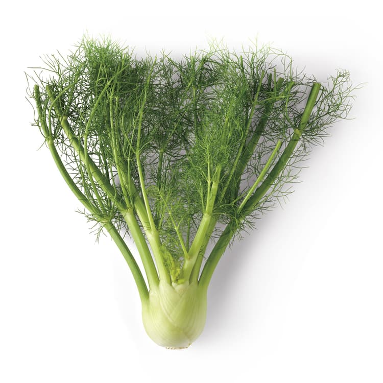 Fresh Anise