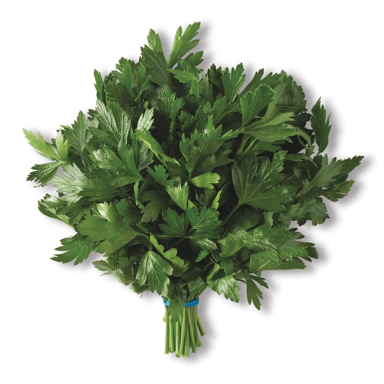 Italian Parsley