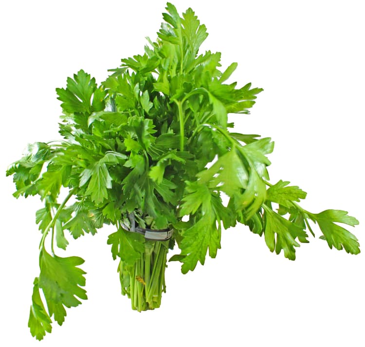 H-E-B Texas Roots Fresh Organic Italian Parsley