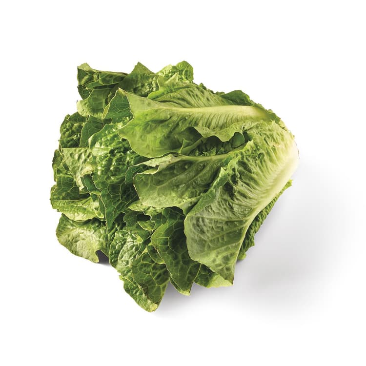 Organic Romaine Lettuce