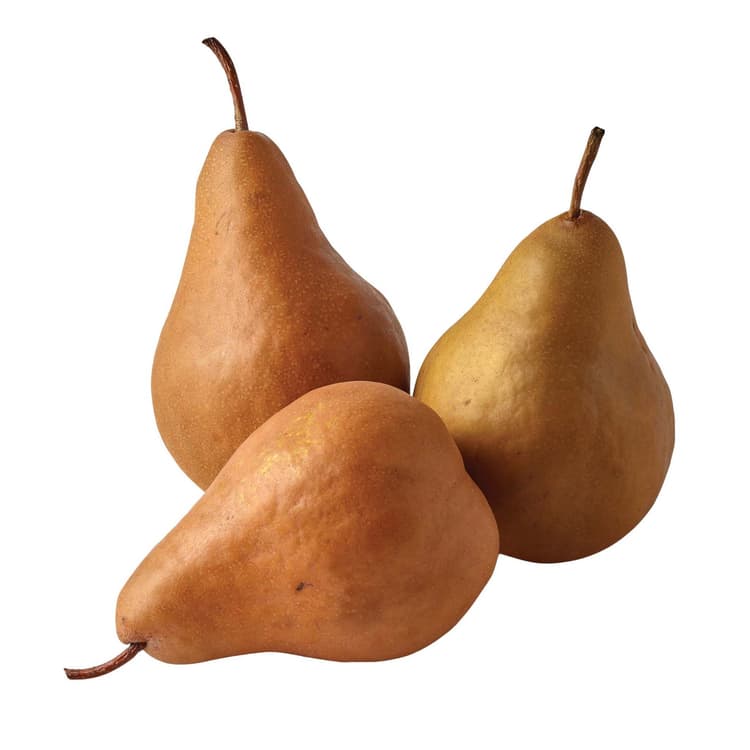 Bosc Pears