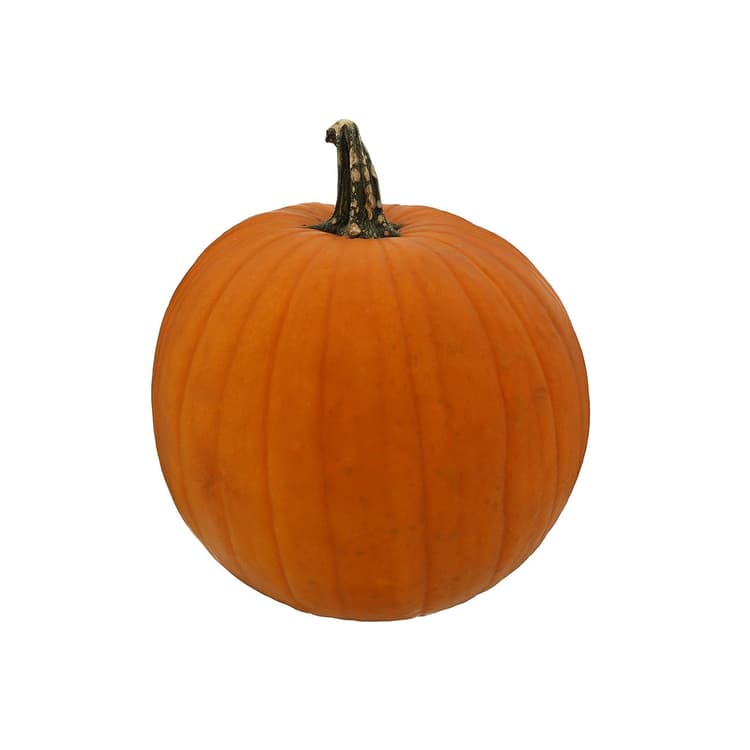 Jack O Lantern Pumpkin