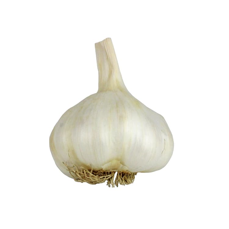 Bulk White Garlic
