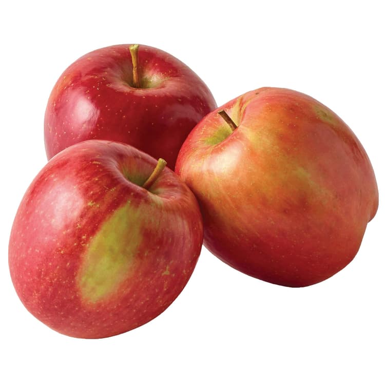 Fuji Apple Large
