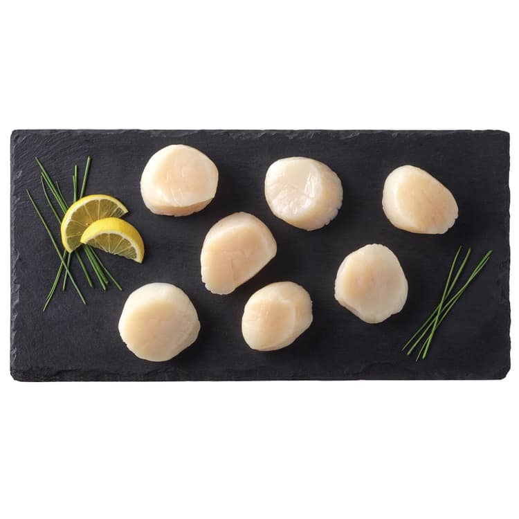 H-E-B Wild Caught Fresh Extra Jumbo Sea Scallops