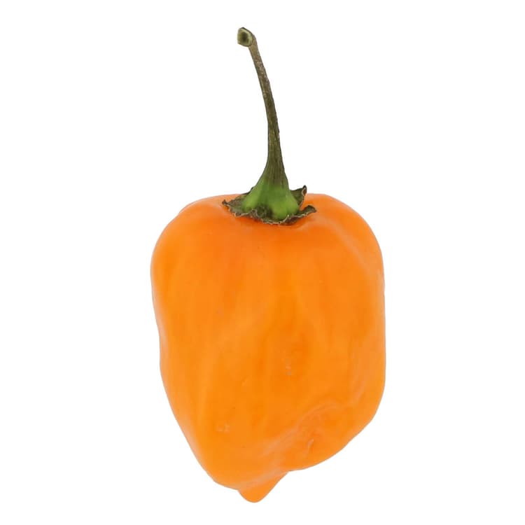 Fresh Habanero Peppers