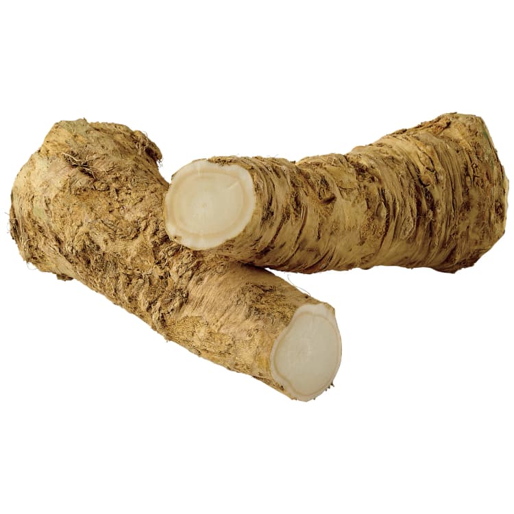 Horseradish Root