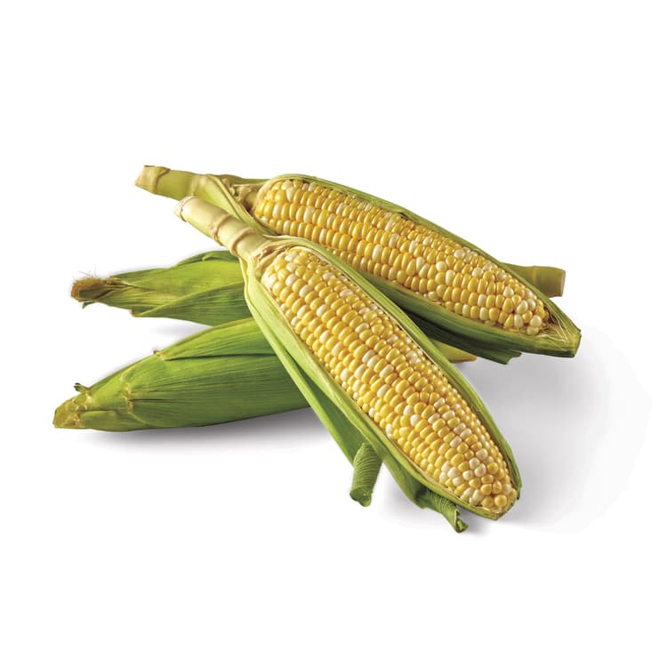 Fresh Corn