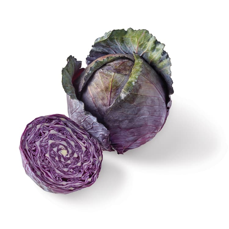 Red Cabbage