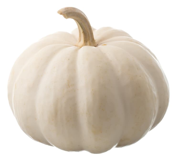 White Pumpkin