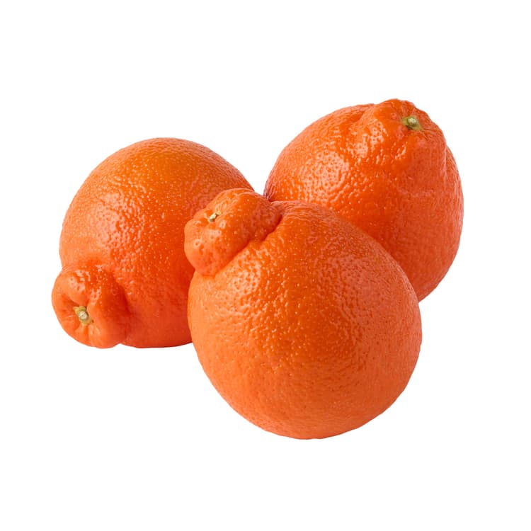 Fresh Minneola Tangelo