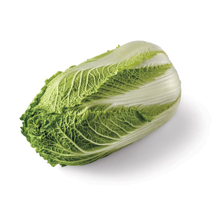 Nappa Chinese Cabbage