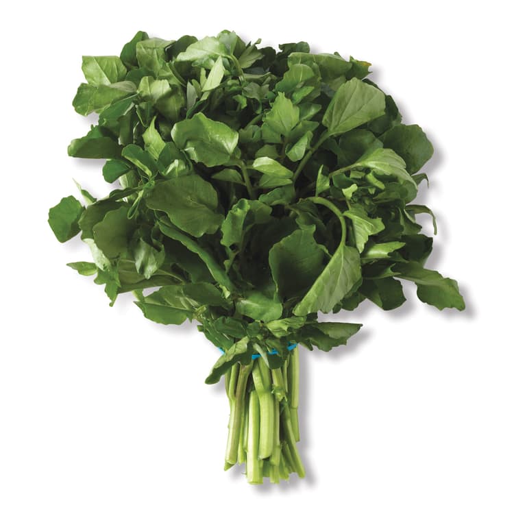 Watercress