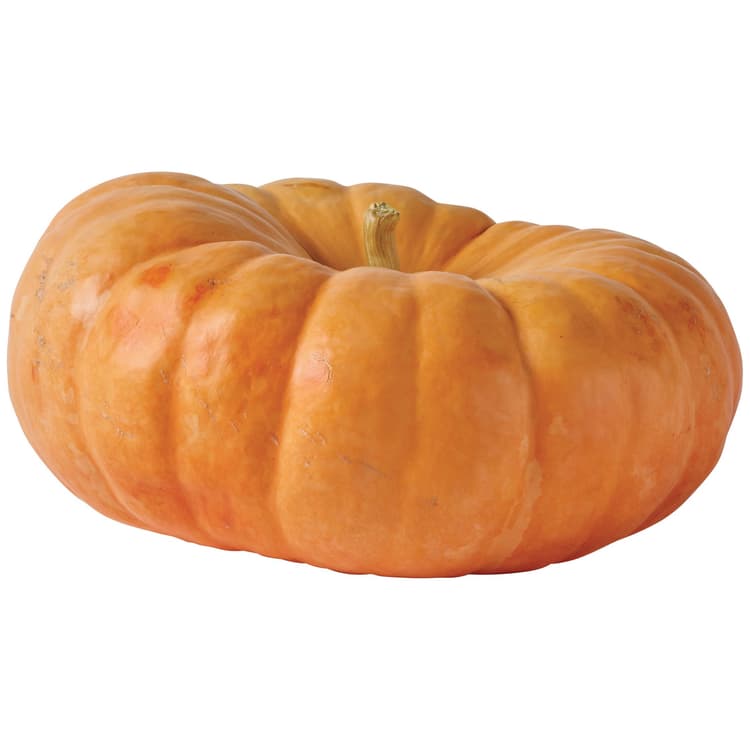 H-E-B Texas Roots Large Fairytale Pumpkin