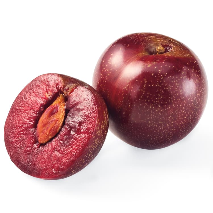 Red Plumcot