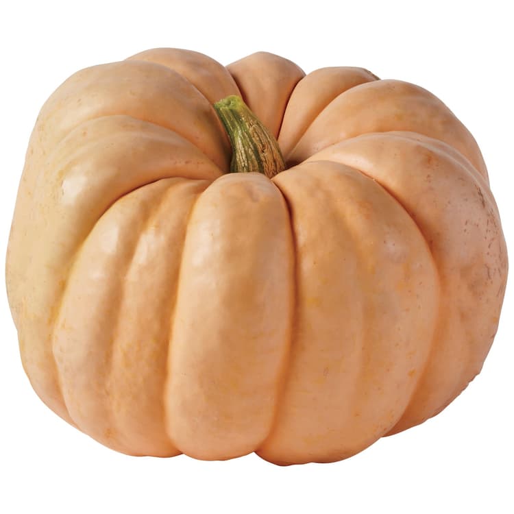 Pink Pumpkin
