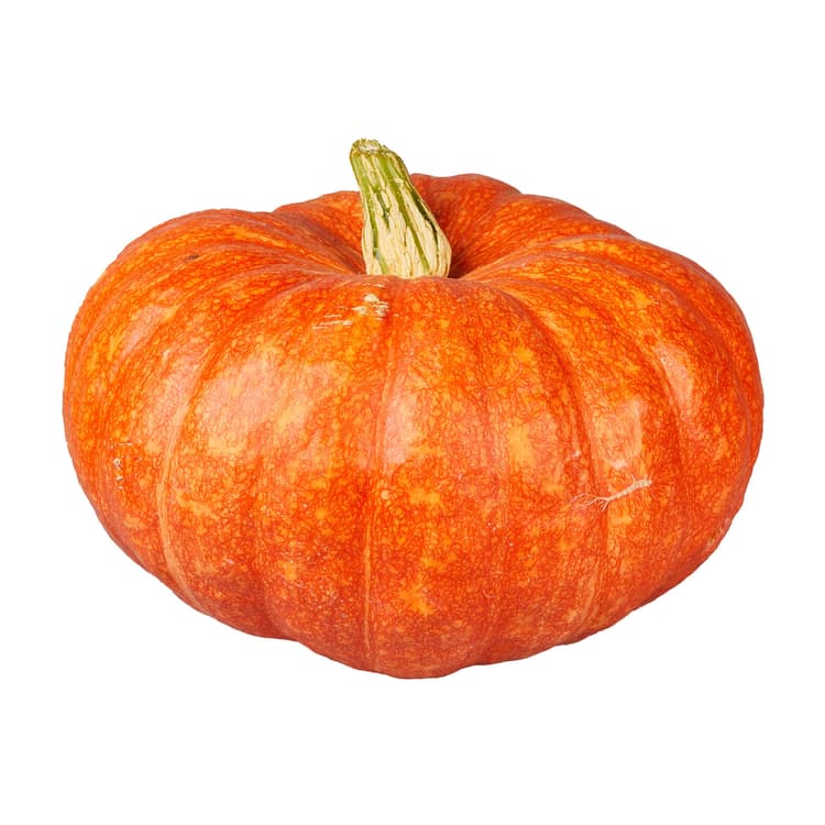 H-E-B Texas Roots Small Cinderella Pumpkin