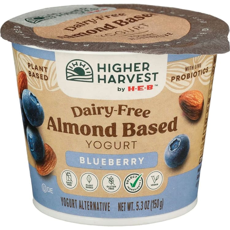 Higher Harvest By H-E-B Dairy-Free Almond-Based Yogurt – Blueberry