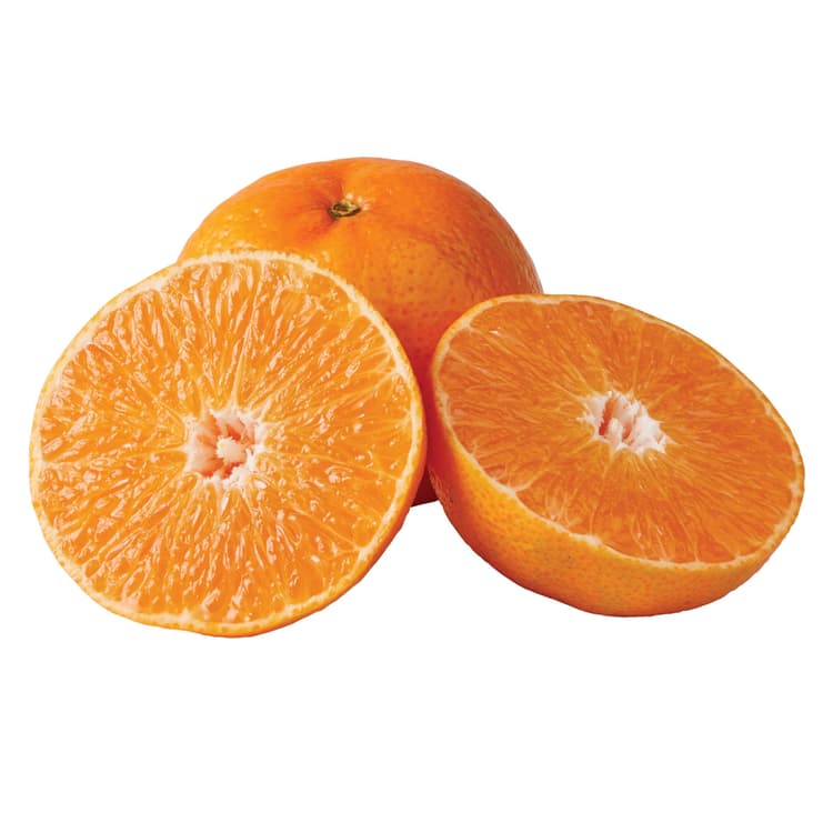 Fresh Juicy Crunch Tangerine