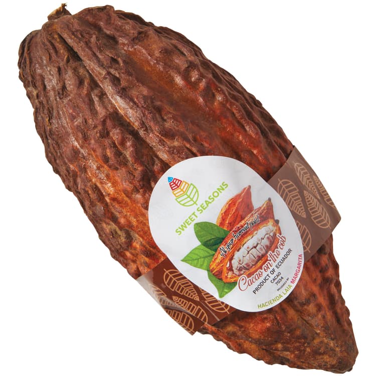 Fresh Cacao Bean