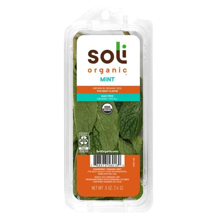 Fresh Mint Organic