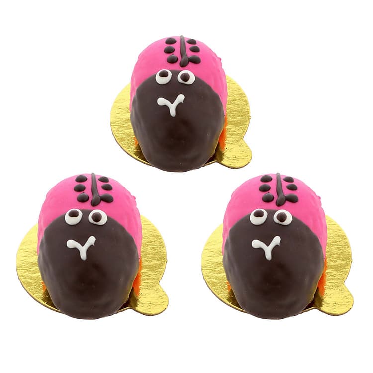 H-E-B Mini Pink Lady Bugs