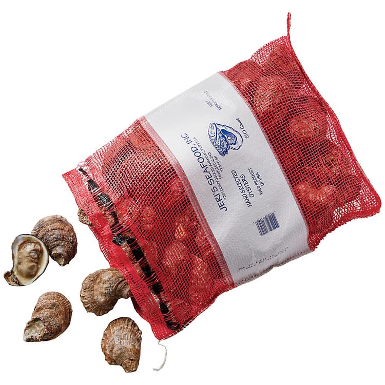 Live Oysters