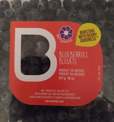 Berry World Blueberry Bleuets