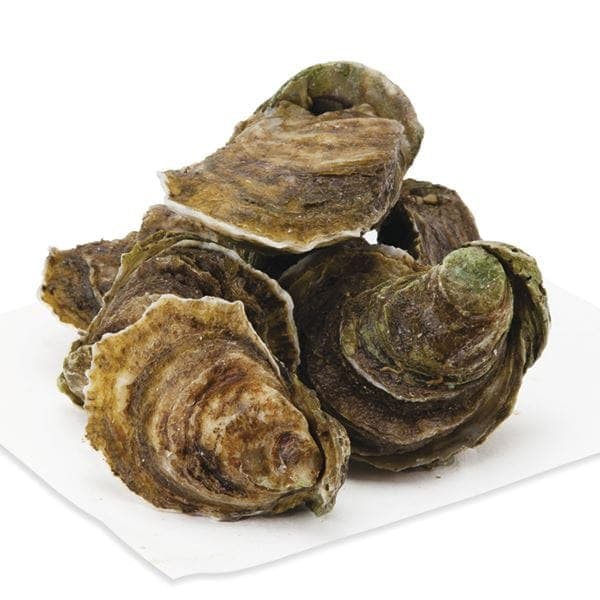 Oysters, Blue Pointe, Live, Wild
