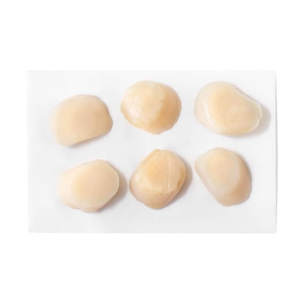 Greenwise Sea Scallops, Jumbo, 10/15 Scallops/Lb, Wild, Sustainable, Prev