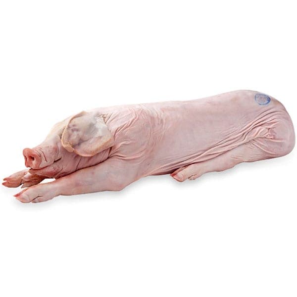 Whole Roasting Pig 21-50 Pounds Average Weight, Sold