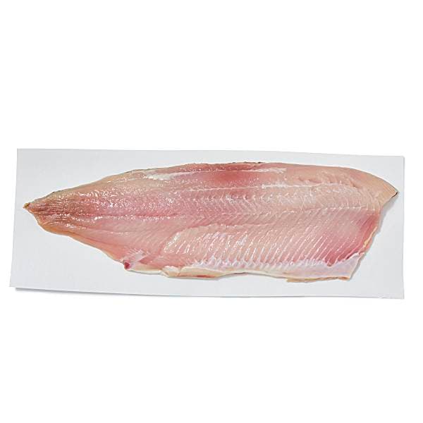 Lake Whitefish Fillets Fresh, Never , Wild Harvested
