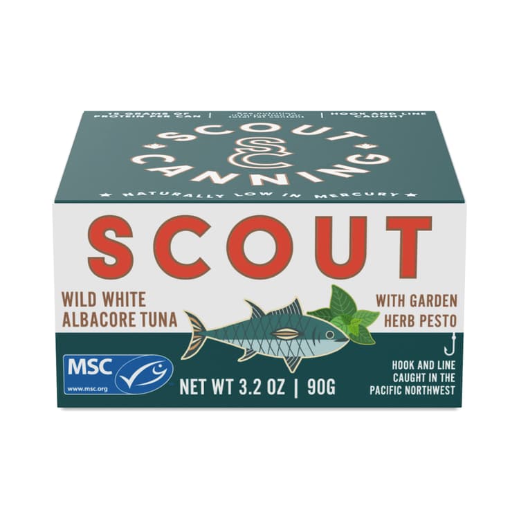 Scout Wild White Albacore Tuna With Garden Herb Pesto