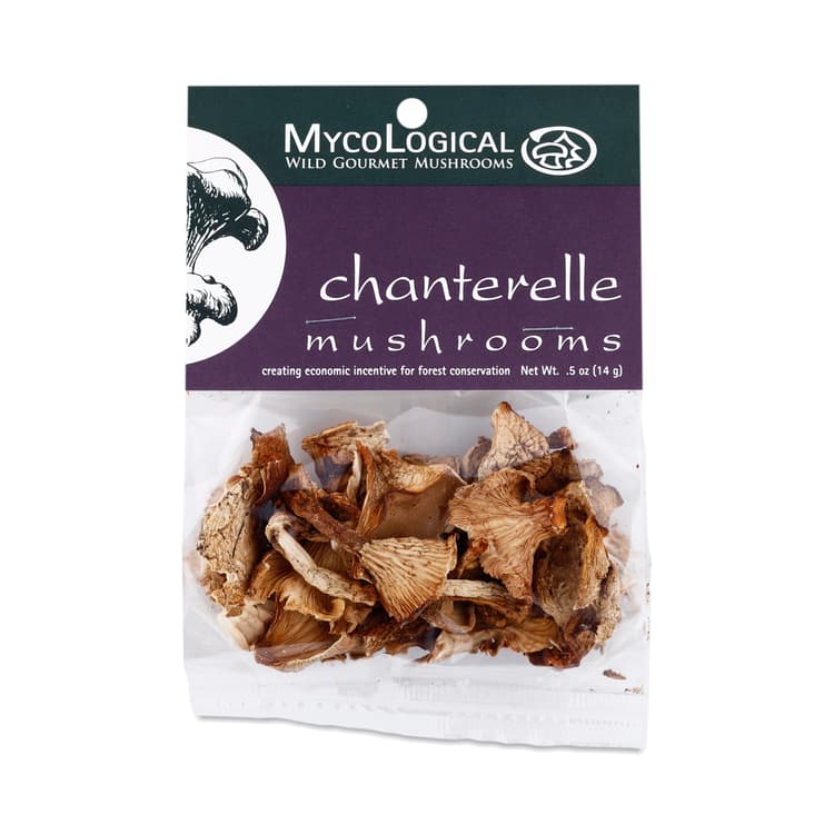 Mycological Chanterelle Wild Mushroom